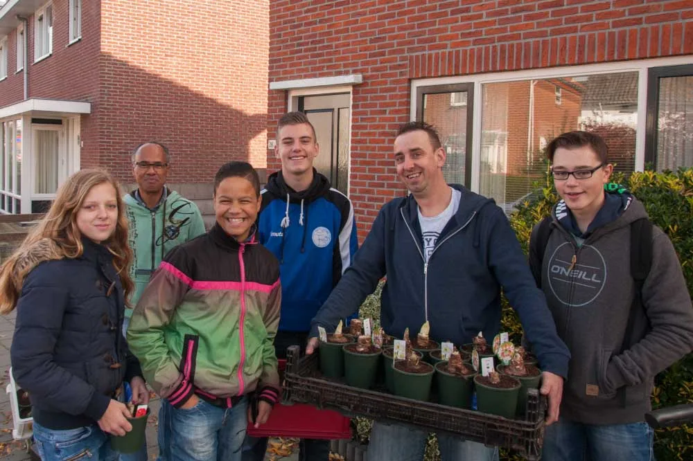 Amaryllisbollenactie
